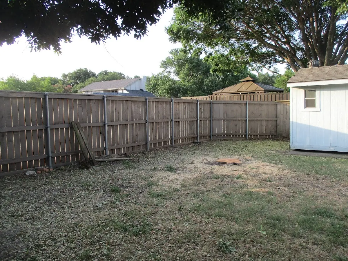 Cleared yard after professional tree removal in Sicklerville